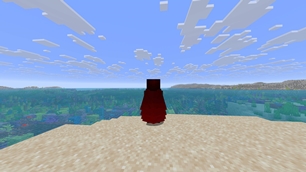 Divine Netherite Elytra.jpg