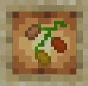 Wild Beans