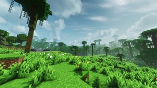 Biome