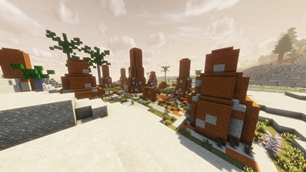 Desert Biome