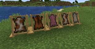 Tanning Racks