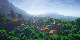 Village