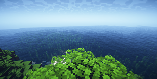 Sea Side View