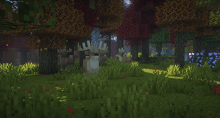 Autumn Wilderness.png