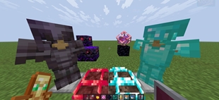 Full Showcase