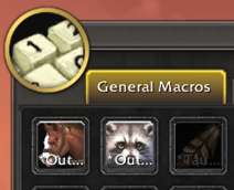 Macros