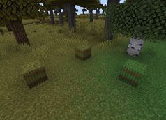 Biome Color.png