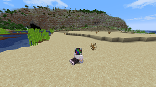 No more snowy deserts!