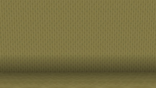 Spotted Wall