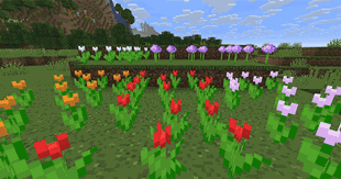 variants_of_crops_v1.2.0.gif