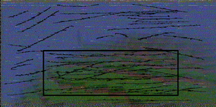 fog_transform