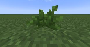 BOP Bush with the resource pack enabled