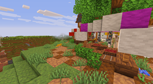 Village