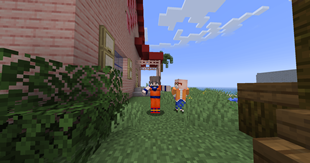 Training with master Roshi!
