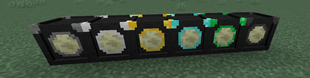 end gene.png