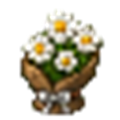 oxeye_daisy_bouquet.png