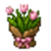 pink_tulip_bouquet.png