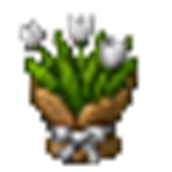 white_tulip_bouquet.png