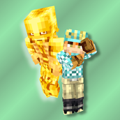 Icon Image