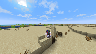 More Desert Structures