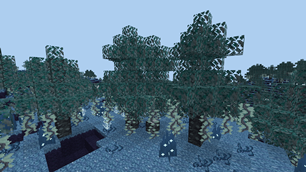 15.png