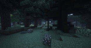 Biome
