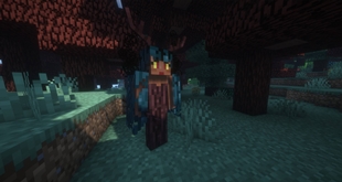Dryad
