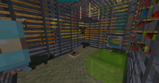 Showcase