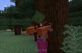 4.jpg