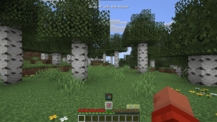Viewing the menu with the XP converter and palette disabled