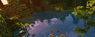 Bullfrogs In A Lake