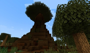 Rosine Tree.jpg