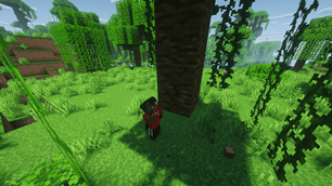 Gather wood with an axe.png