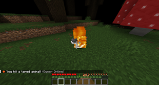 «You hit a tamed animal!»