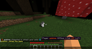 «Player attempted to attack your pets ℹ️»