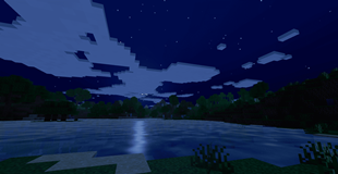 5.png