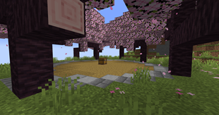 Cherry Blossom Training Grounds