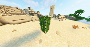 3D Cactus