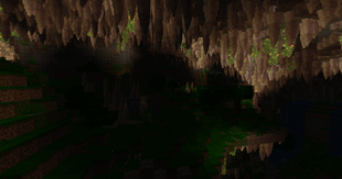 The Grove