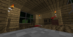house0