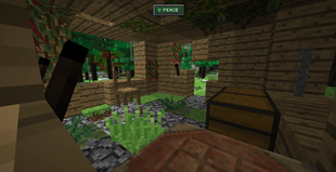 house1