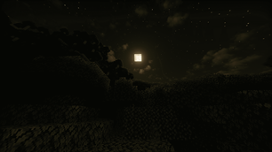 imageingame.png