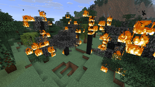 burning2.png