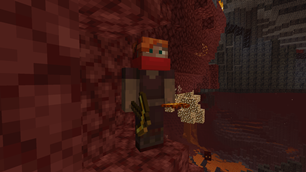 Nether Tamer