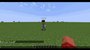 controlfakeplayer.gif