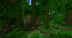 Jungle