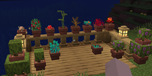 ff_image_2 (1).png