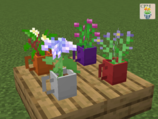 Cup Pots