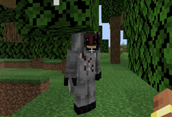 Fencer