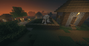 crops.png